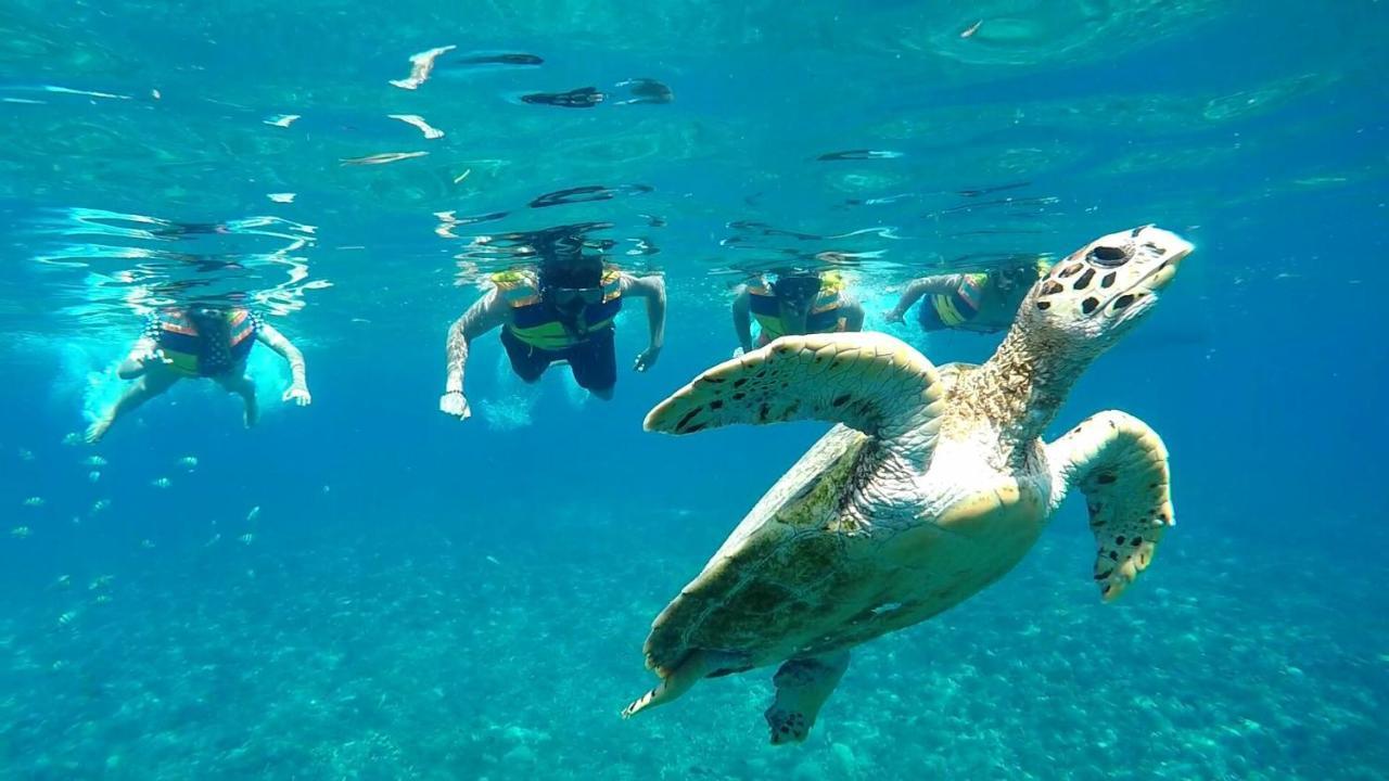 Mojo 3* Gili Meno